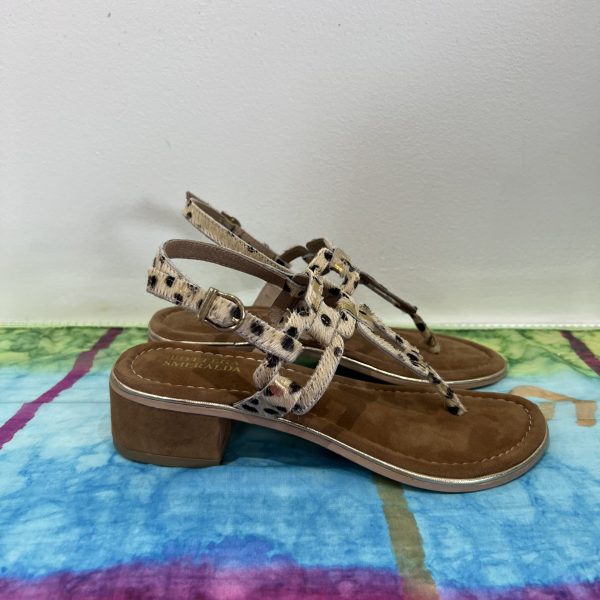 Bottega Smeralda 3SS04Q Cheetah Leather Toe Strap Sandal | Ooh Ooh Shoes women's clothing and shoe boutique located in Naples and Mashpee