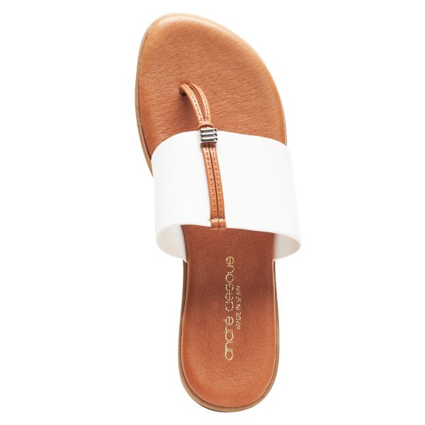Andre Assous Nice thong style sandal with leather padded footbed and wide elastic band| Ooh! Ooh! Shoes woman's clothing and shoe boutique naples and mashpee